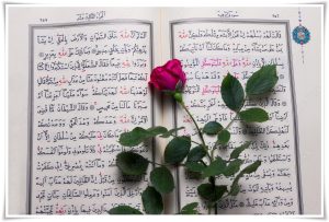 Kur'an ve Dadaş Ocakları